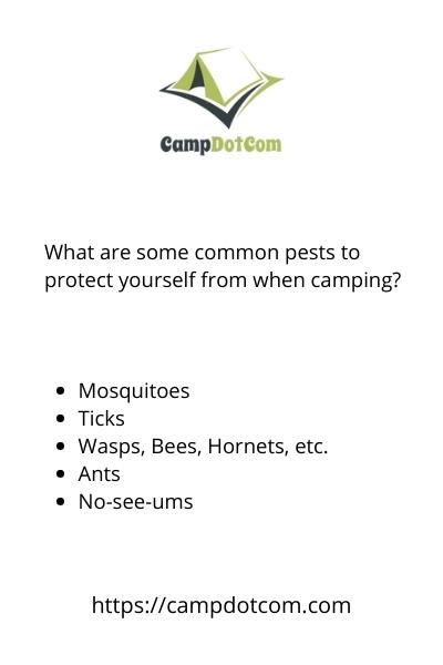 what are some common pests to protect yourself from when camping