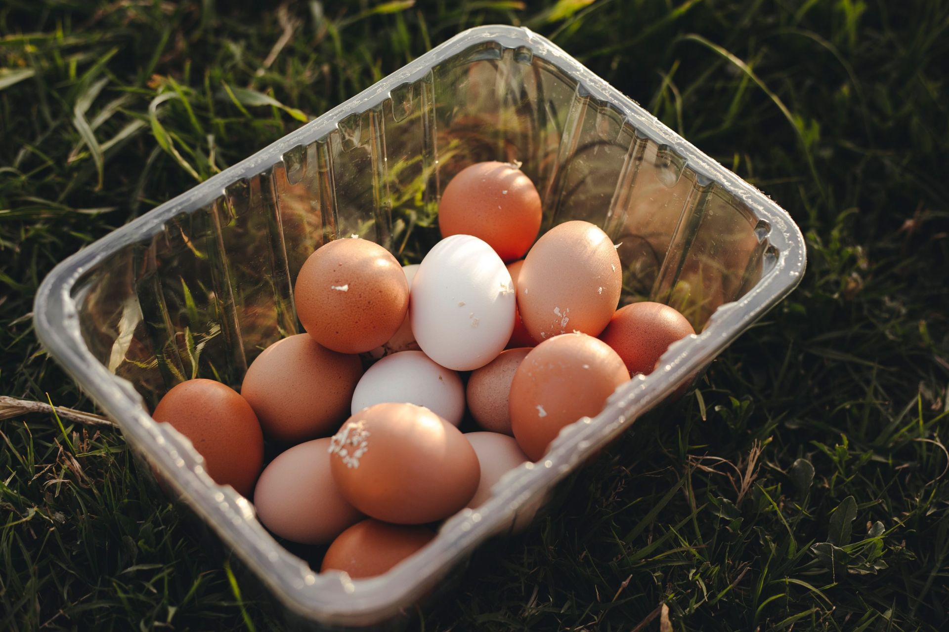 How Long Will Eggs Keep In A Cooler CampDotCom