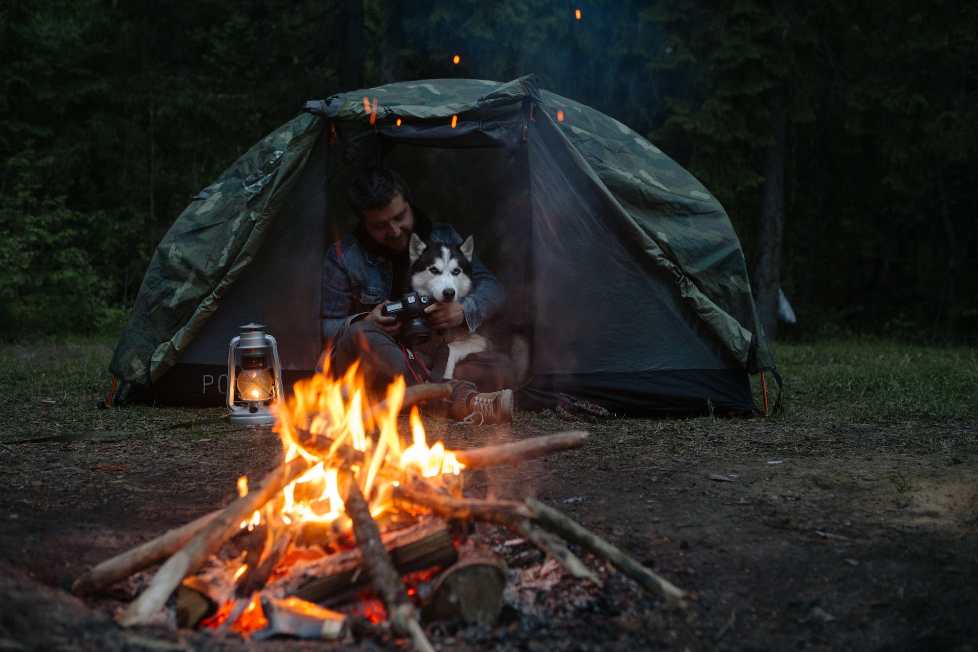 How Do I Go Camping With Dogs? Camping Hacks The Best Camping Hacks