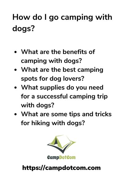how do i go camping with dogs