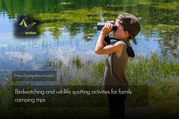 birdwatching and wildlife spotting activities for family camping trips