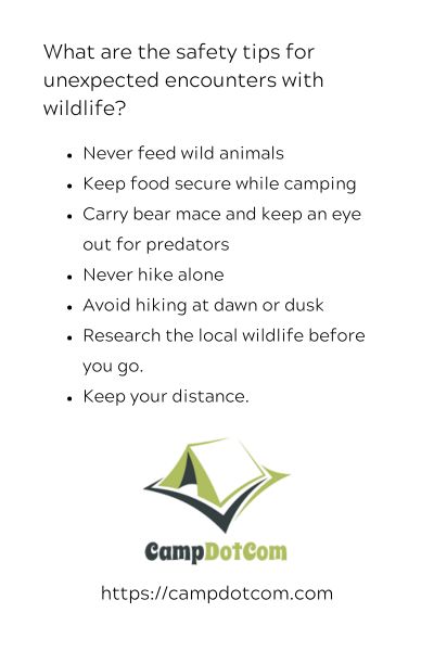 what are the safety tips for unexpected encounters with wildlife