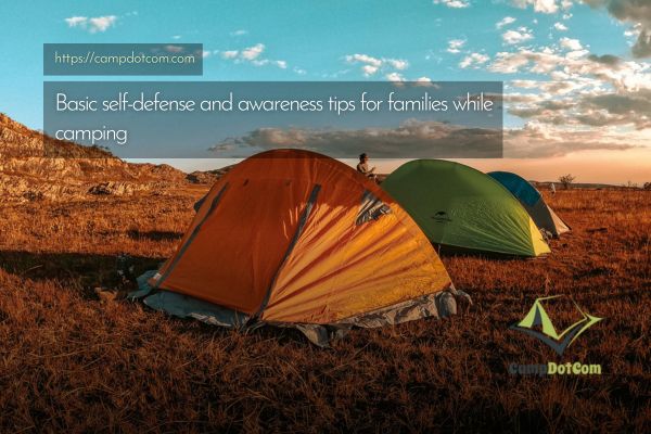 basic self defense and awareness tips for families while camping