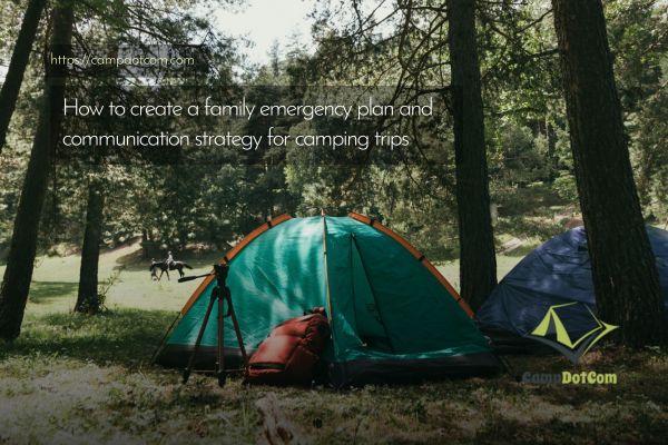 how to create a family emergency plan and communication strategy for camping trips