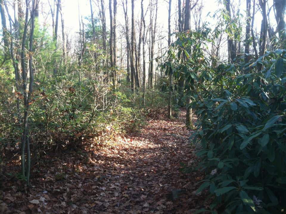 forbes state park 2