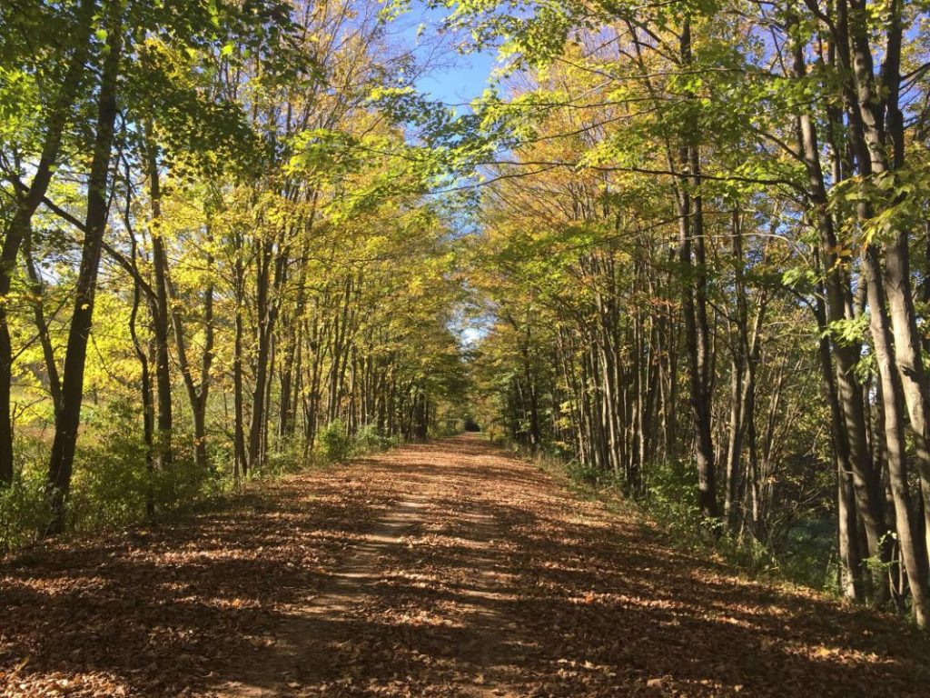 great alleghany passage garrett