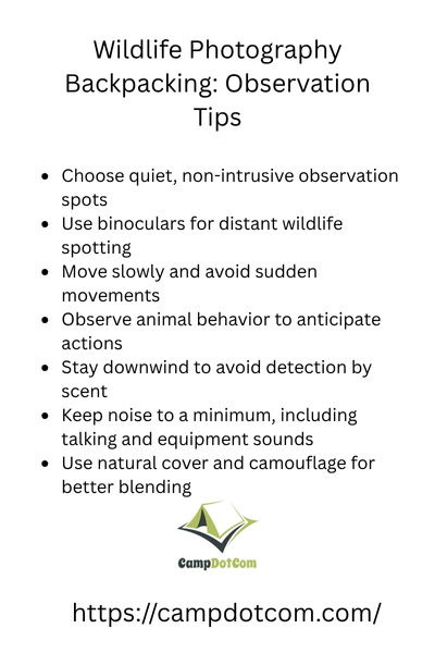 wildlife photography backpacking observation tips with bullets