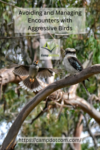 Encounters with Aggressive Birds Image