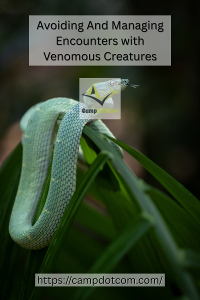 Encounters with Venomous Creatures Image