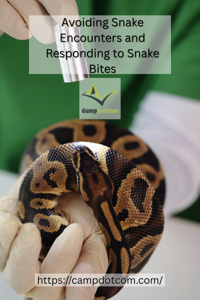 Avoiding Snake Encounters Image