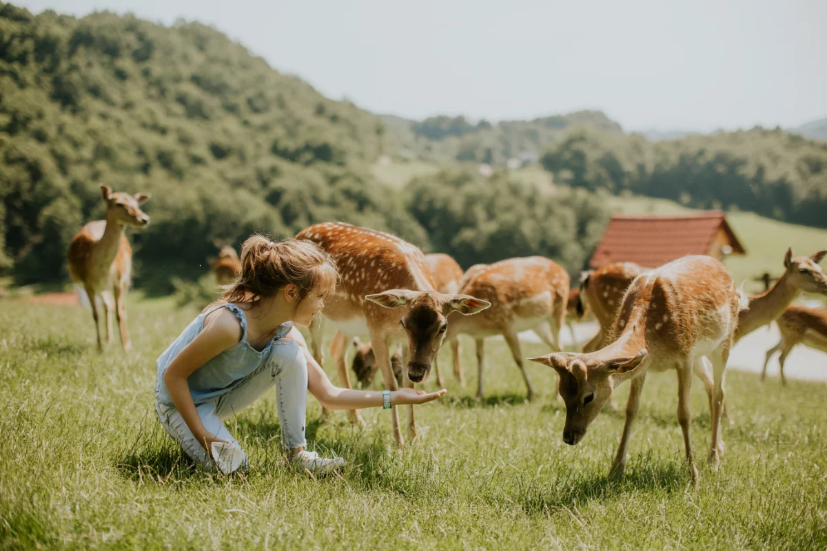 Understanding and Respecting Wildlife Habitats and Behavior | CampDotCom