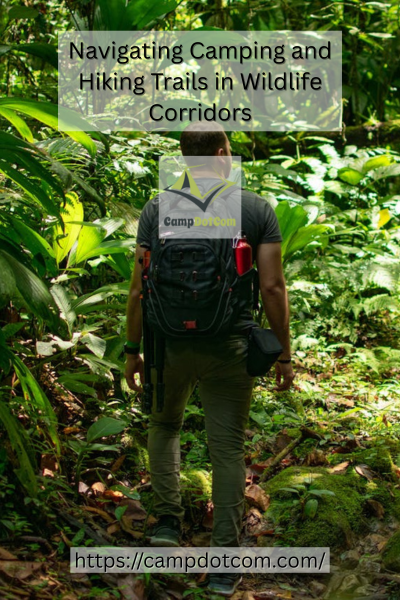 Hiking Trails in Wildlife Corridors Image