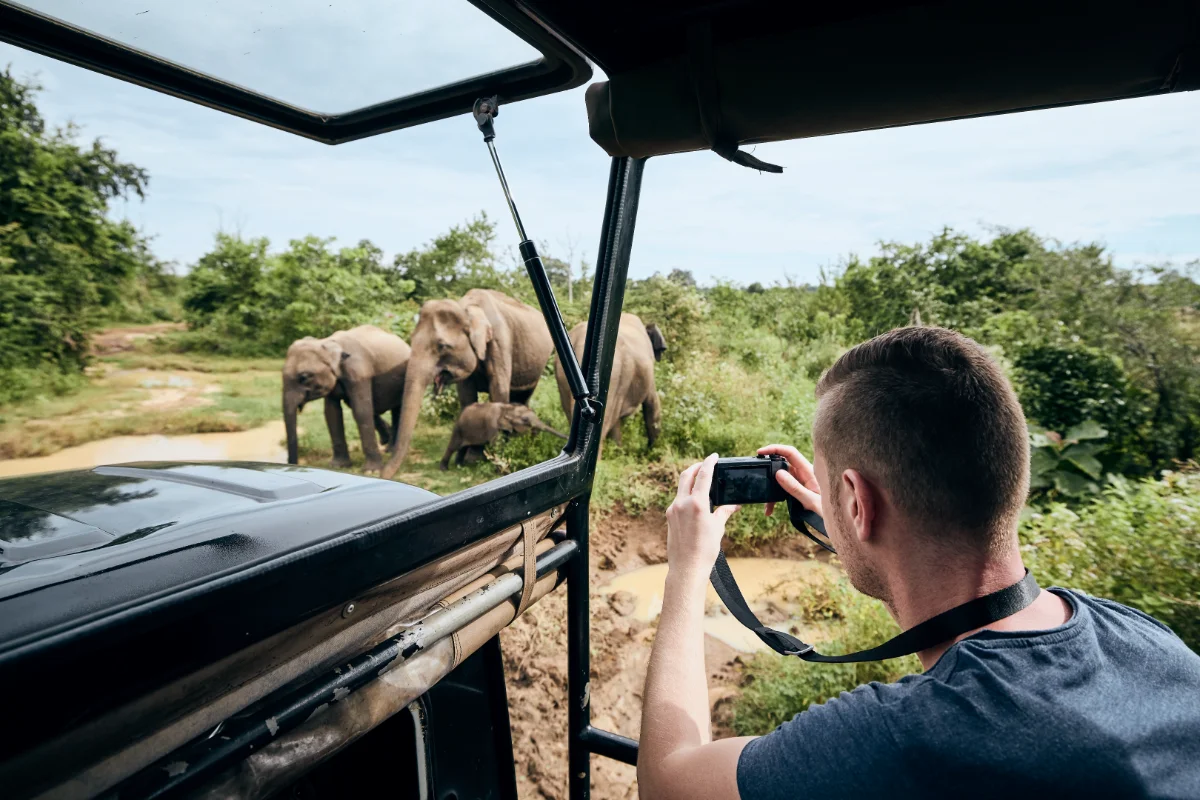 Safe Wildlife Viewing Practices and Etiquette | CampDotCom