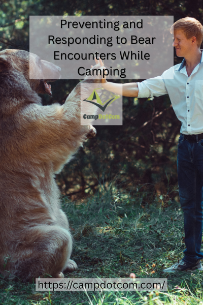 Responding to Bear Encounters Image