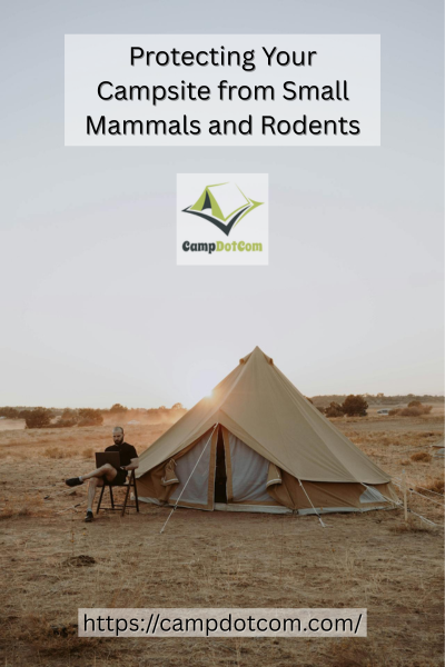 Protecting your Campsite from Ants Image