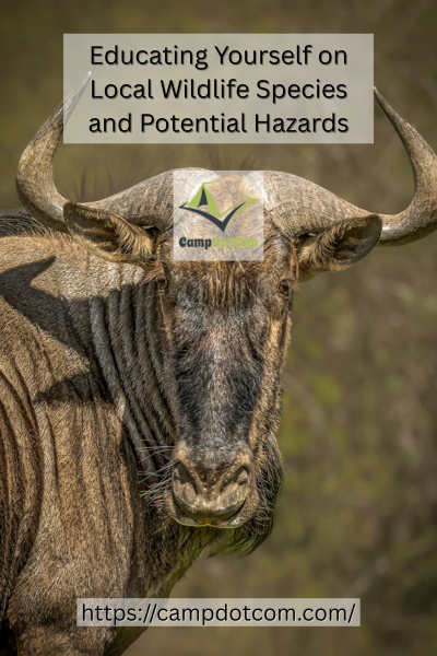 Local Wildlife Species Image