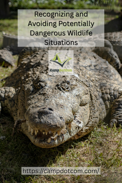 Dangerous Wildlife Situations Image