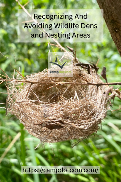 Avoiding Wildlife Dens Image