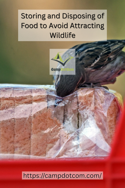 Avoid Attracting Wildlife Image