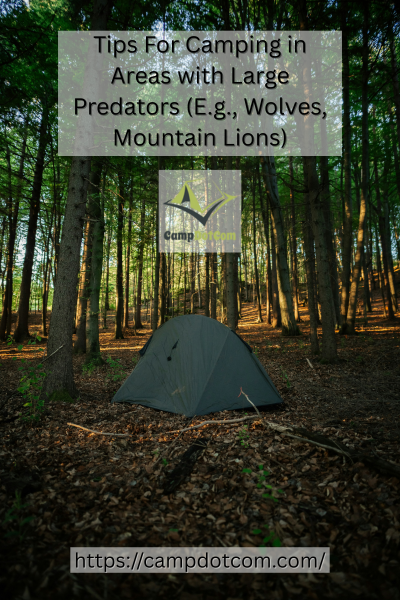 Camping in Areas with Large Predators Image