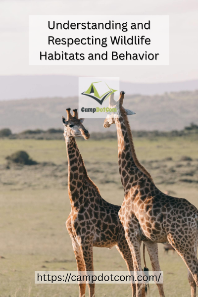 Respecting Wildlife Habitats Image
