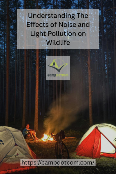 Effects of Noise and Light Pollution Image