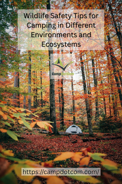 Wildlife in the Ecosystem Image