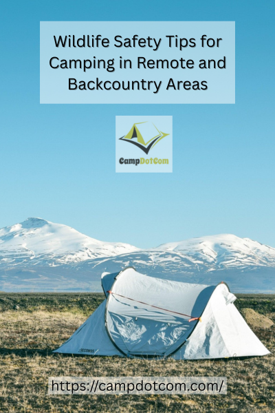 Camping in Remote Areas Image