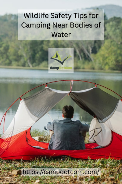Camping Near Bodies of Water Image